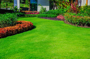 Landscaped-lawn-AS_175437355-rs