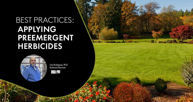 Feature image for Applying Preemergent herbicides: Understanding your options