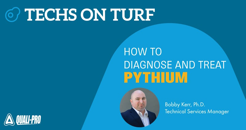 Feature image for Techs On Turf– Diagnose & Treat Pythium