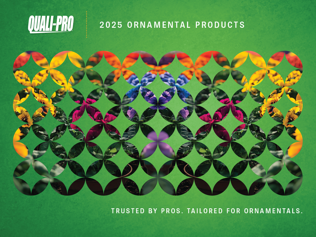 QP-Ornamental-Products-Brochre