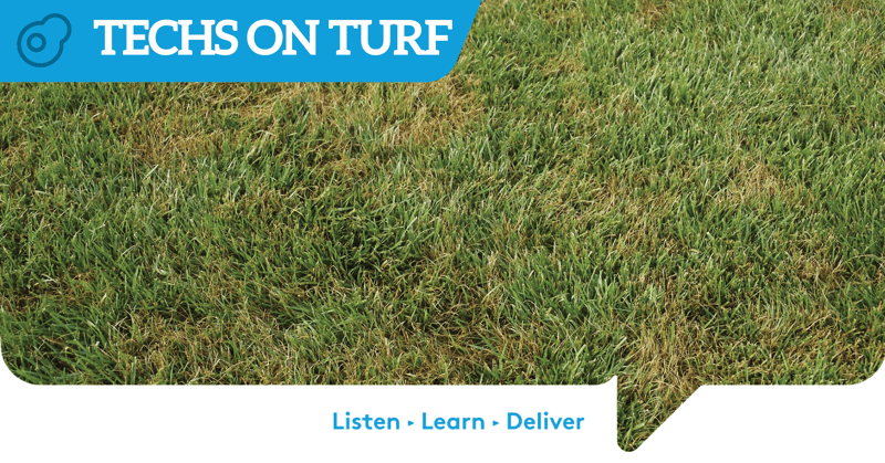 Feature image for Conquer Summer Heat Stress on Your Turf with Quali-Pro