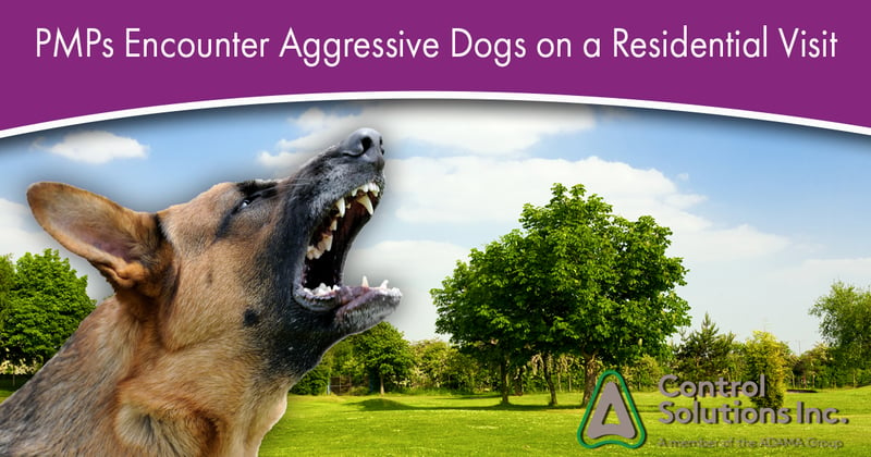 Feature image for PMPs Encounter Aggressive Dogs on a Residential Visit