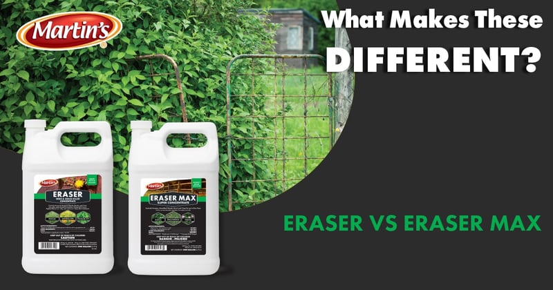 Feature image for The Difference Between Eraser and Eraser Max