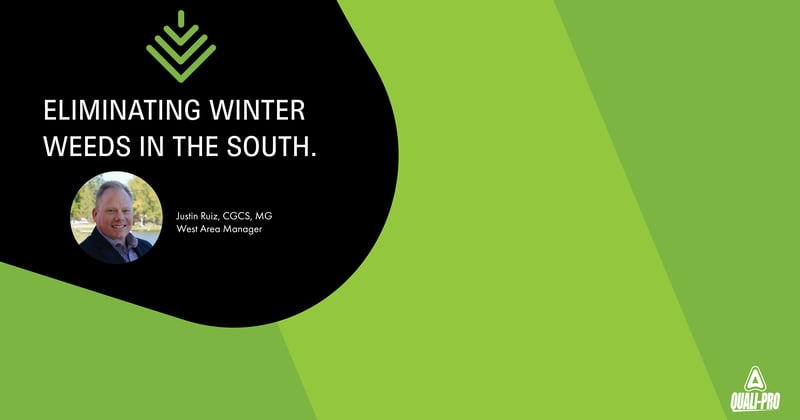 Feature image for Winter Weeds in The South