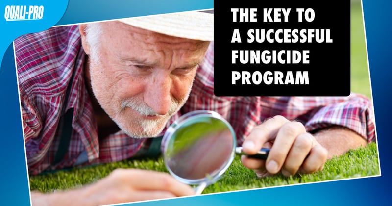 Feature image for The Key to a Successful Fungicide Program