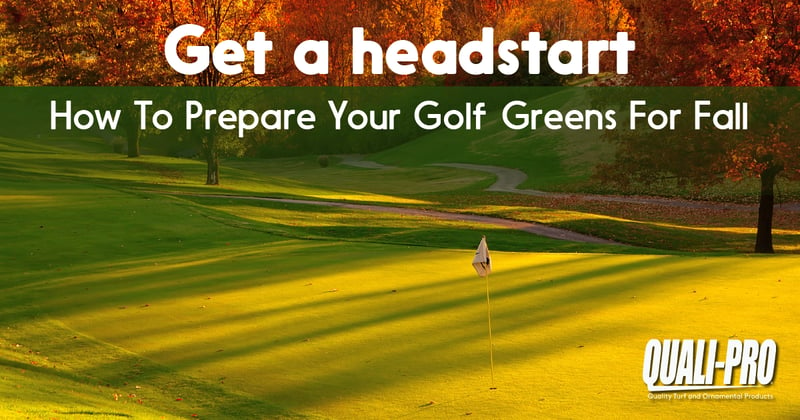 Feature image for How To Prepare Your Golf Greens for Fall