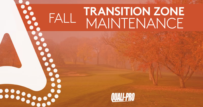 Feature image for Fall Transition Zone Maintenance