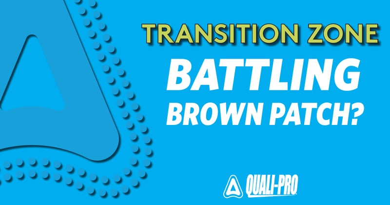 Feature image for Battling Brown Patch in the Transition Zone