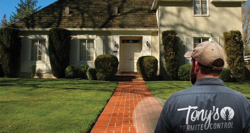 Feature image for Proactive Termite Prevention: A Must for Every Pest Pro