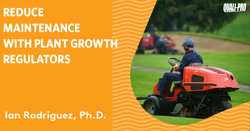 Feature image for Reduce growth and mowing requirements with PGRs from Quali-Pro