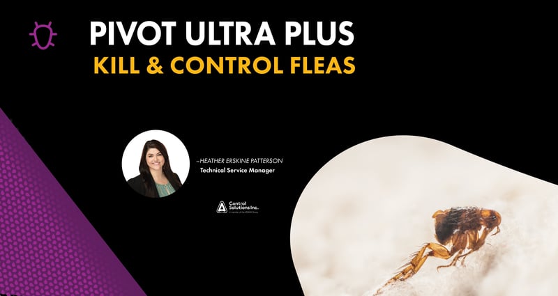 Feature image for Kill and Control Fleas with Pivot Ultra Plus