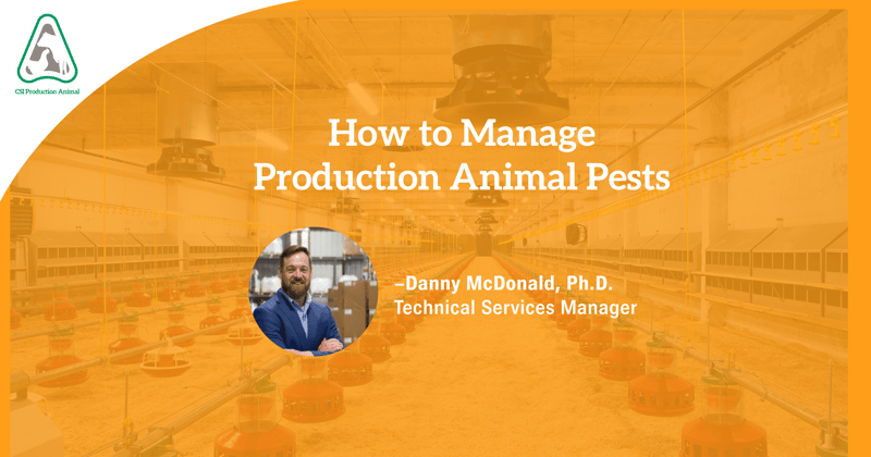 Feature image for How to Manage Production Animal Pests