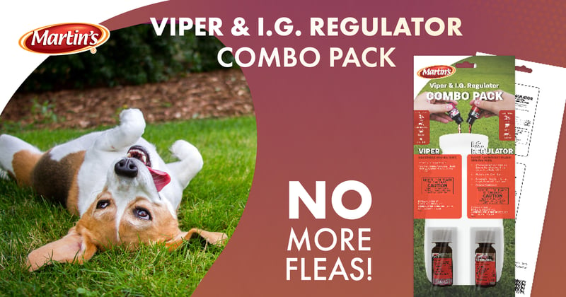 Feature image for A combo pack that can handle most any insect problem