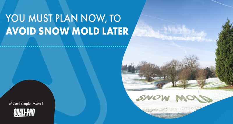 Feature image for Plan Now to Avoid Snow Mold Later