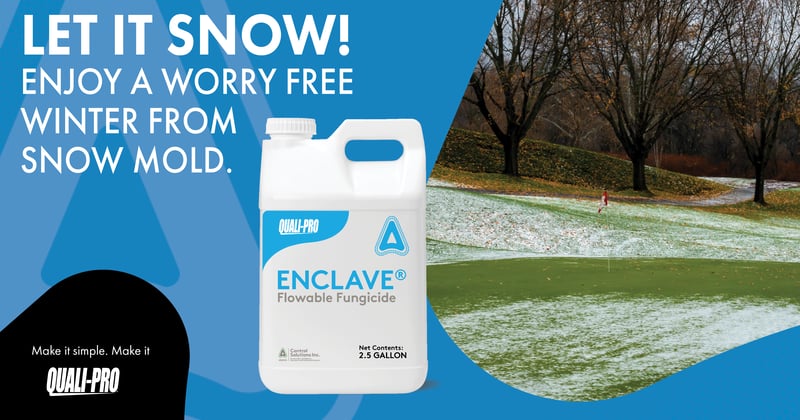 Feature image for Let it Snow! Enjoy a Worry Free Winter from Snow Mold