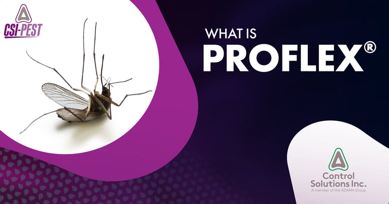 Feature image for What is ProFlex?